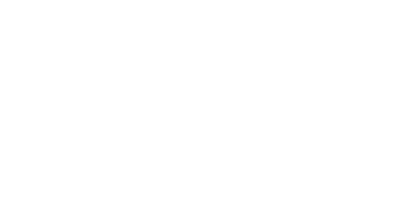 Mini Mall Storage
